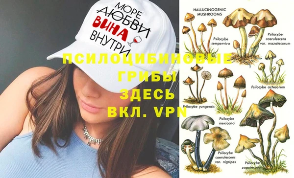 эйфоретик Алексеевка