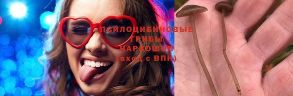 гидра Алексин