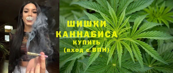 apvp Алзамай
