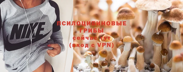 apvp Алзамай