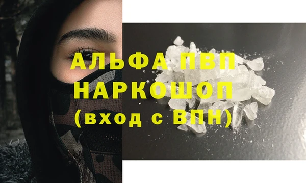 гидра Алексин